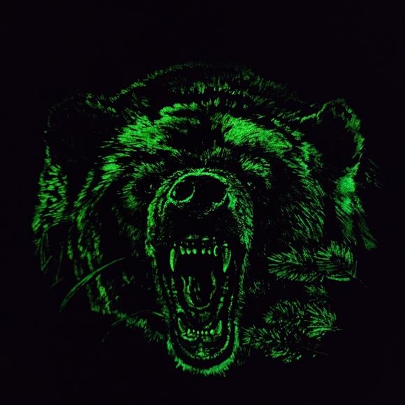 "Just Bite Me" Grizzly T-Shirt. GLOWS IN THE DARK 🐻🌟💫 - Picture 7 of 7